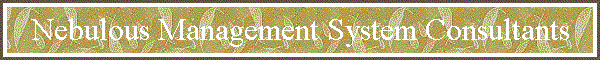 Nebulous Management System Consultants